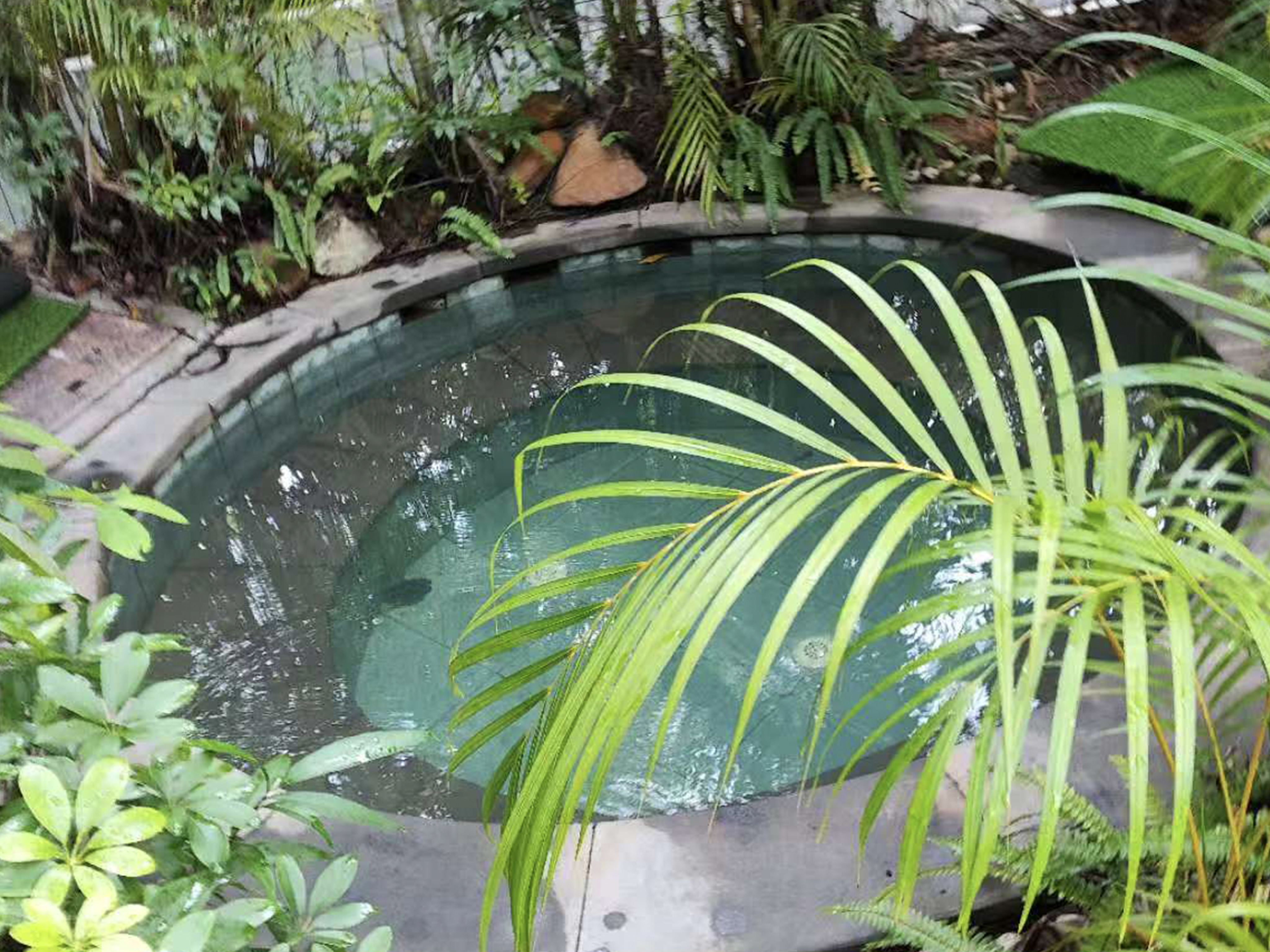 温泉.jpg