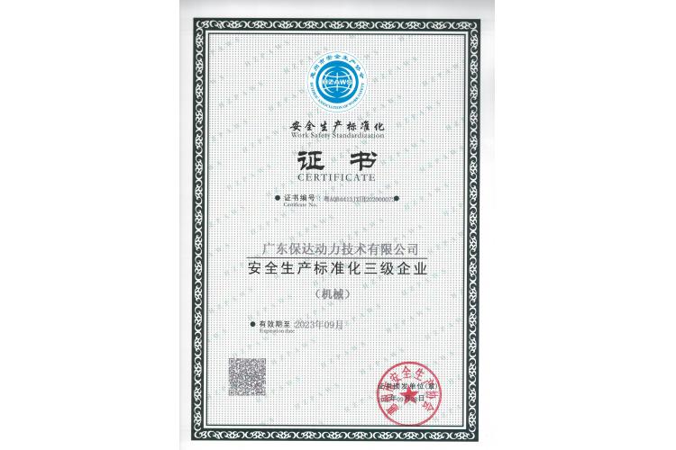  Safety Production Standardization Certificate